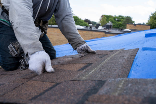 Best Emergency Roof Repair Services  in Pleasure Point, CA
