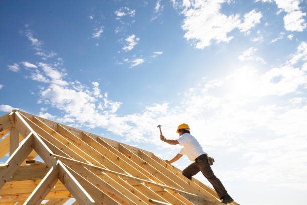 Best Roof Moss and Algae Removal  in Pleasure Point, CA